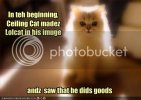 funny-pictures-the-creation-story-of-lolcats.jpg