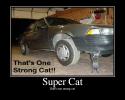 SuperCat.png