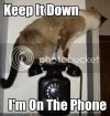 catphone.jpg