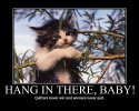 hang_in_there.jpg