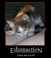 lolcatsdotcombqtxi6p42rgnzly2.jpg
