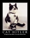 090420-cat-hitler.jpg