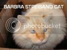 lolcatsdotcomnresle83lvxriex1.jpg