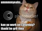 lolcatsdotcomurzklbuj1b3n574a.jpg
