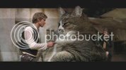 jabbathecat.jpg