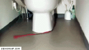 bowlcleaner.gif