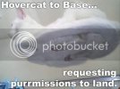 hovercat.jpg