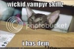 cats.jpg
