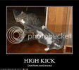 lolcat4.jpg