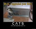 Motivational_poster_Cats_by_ColdDraga.jpg