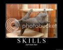 Skills.jpg