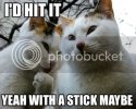 IdHitItKitties.jpg