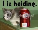 lolcatsdotcomaxv7md1fpsze0h8c.jpg