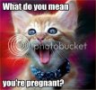 pregnant.jpg