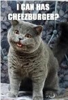 cheeseburger.jpg