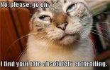 lolcats-enthralling.jpg