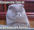 ny-pictures-corporate-fat-cat-is-keeping-the-bonus.jpg