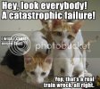 catestrophicfailure.jpg