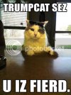 trumpcat.jpg