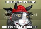 LOLCats2.jpg