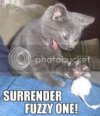 surrender.jpg