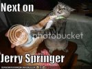 springercats.jpg