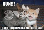 runcat.jpg