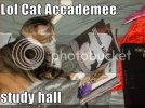 academy.jpg