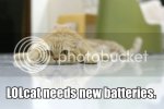 batteries.jpg