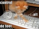 lolcatsctrlaltdefeet.jpg