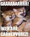 wild_catscarnivorez.jpg