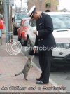 OfficerandaGentlemanLOLCAT.jpg