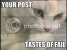 LOLcat2.jpg