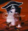 piratelolcat.jpg