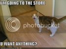 store.jpg