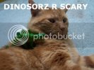 lolcatsdotcom181nk32i307qwox5.jpg