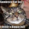 lolcats6.jpg