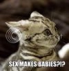 SexMakesBabies.jpg