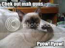 guns.jpg