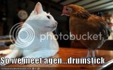 lolcats13.jpg