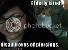 lolcats5.jpg