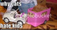 lolcats8.jpg
