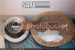 128338211118593750SAFE.jpg