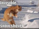 invisibleshowshovel.jpg