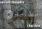 cat-second-thought.jpg