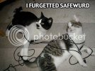 1193000424-safewurd_b.jpg