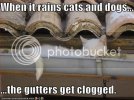 gutters.jpg