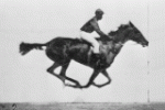 160px-Muybridge_race_horse_animated.gif