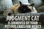 judgmentcat.jpg
