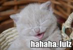 100123-hahaha-lulz.jpg